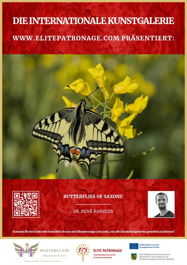 Internationale Kunstgalerie "Elite Patronage"